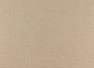 Serene Retreat in Filtered Light Carpet