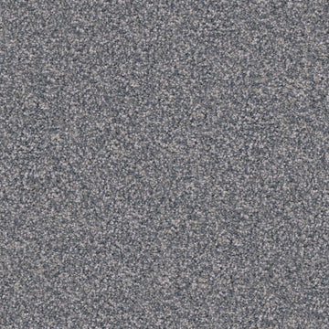 Pumi