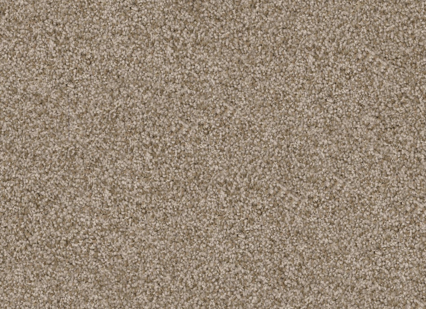 Shepherd in Spaniel Carpet