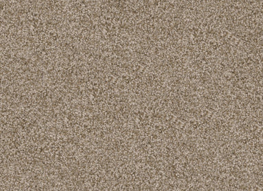 Shepherd in Spaniel Carpet