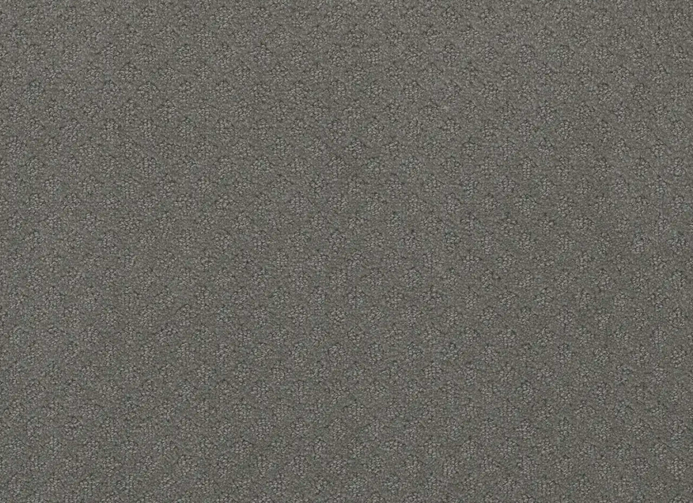 Stellar in Skyway Carpet