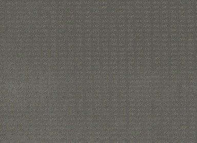Superb in Skyway Carpet