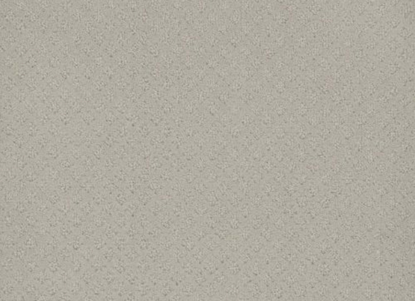 CASPIAN in Snow Cap Carpet