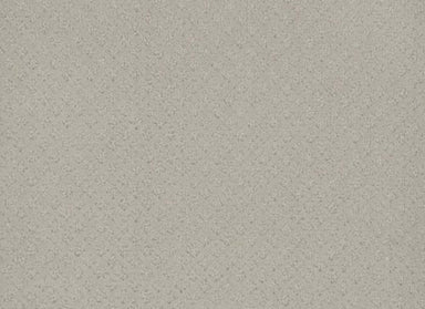 CASPIAN in Snow Cap Carpet