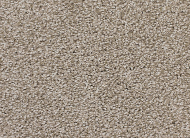 Soft Charm in Polar Light Carpet