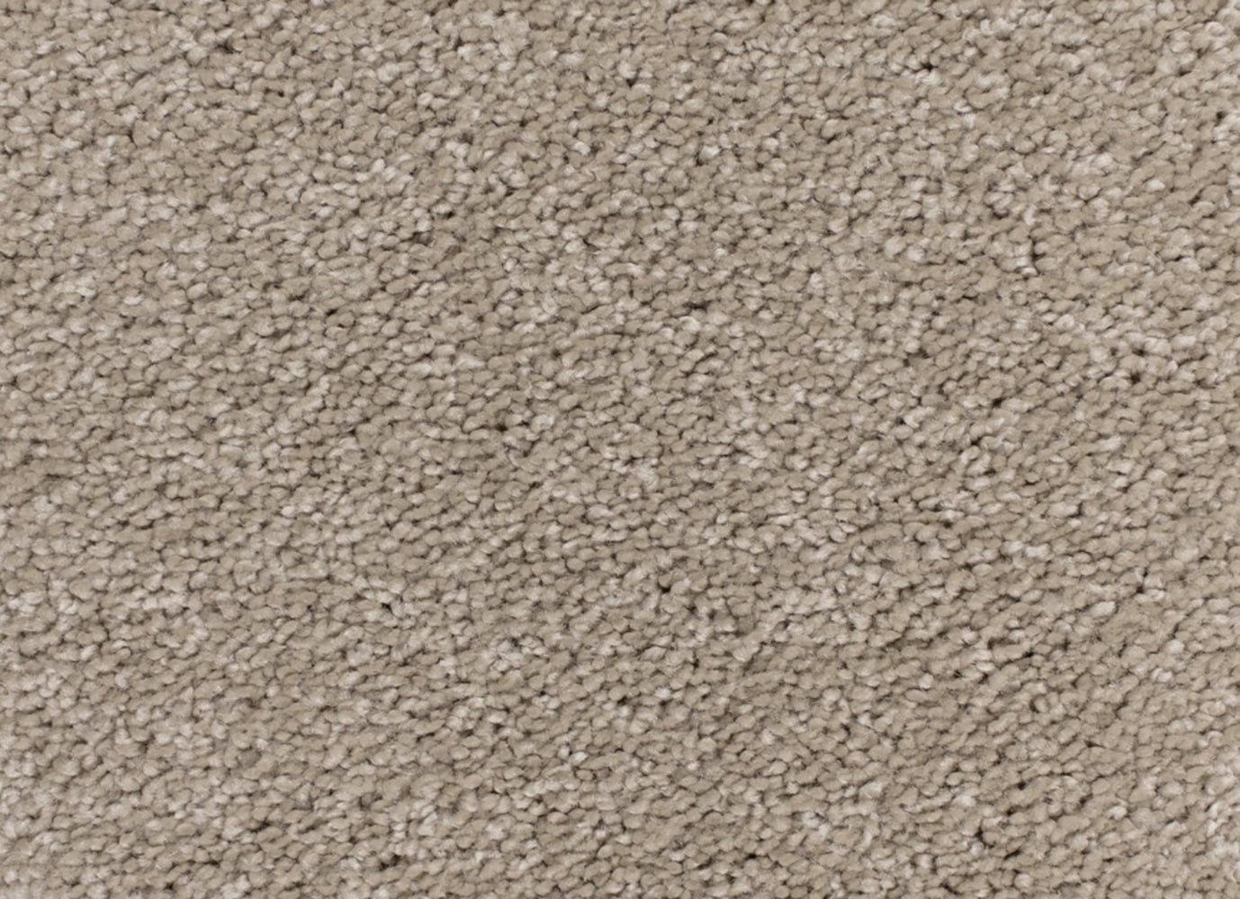 Soft Wonder in Latitude Carpet