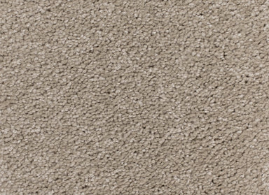 Soft Wonder in Latitude Carpet