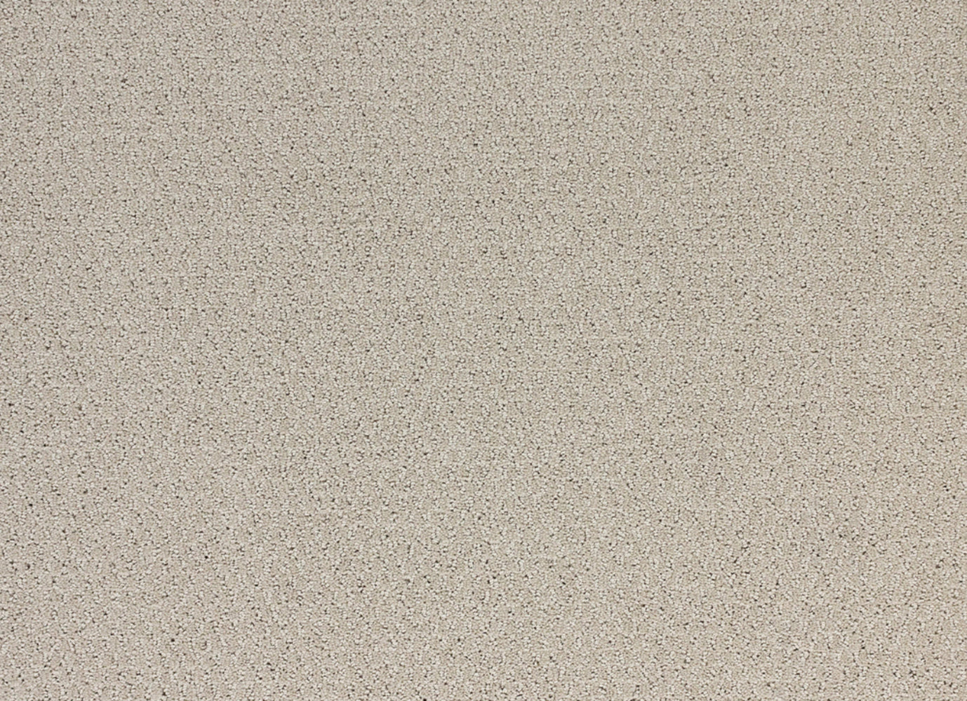 Sonoma in Constellation Carpet