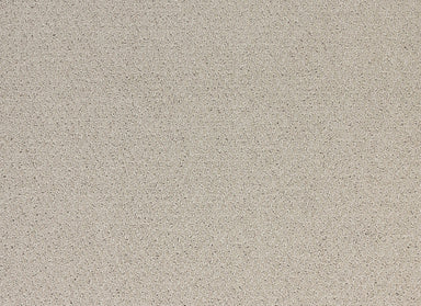 Sonoma in Constellation Carpet