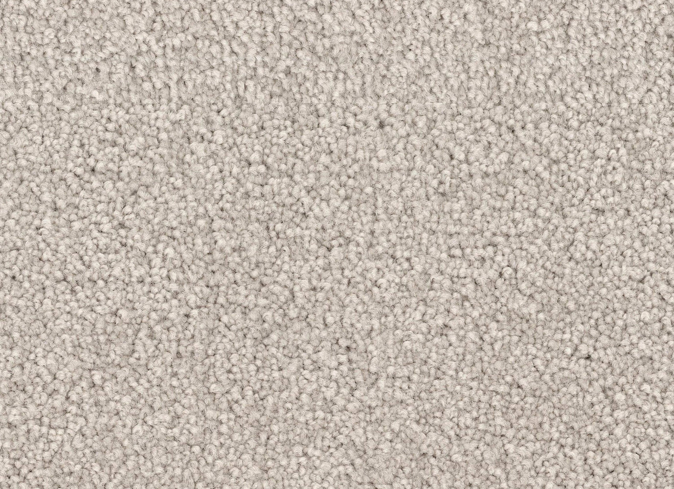 Spring Break in Sand Dollar Carpet
