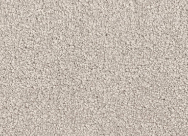 Spring Break in Sand Dollar Carpet