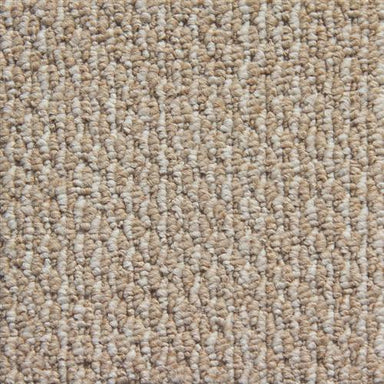 Starlight in Timberlake Carpet