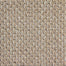 Starlight in Timberlake Carpet
