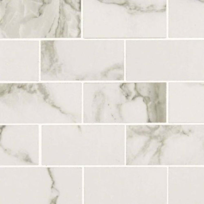 Pietra in Statuario - 2x4 Polished Tile