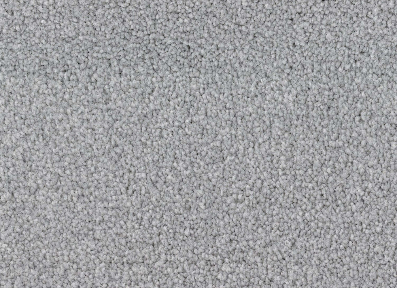 Summer Breeze in Seagull Carpet