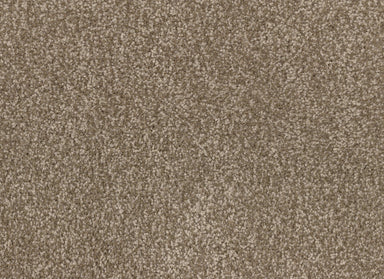 Summer Escape in Explore Carpet