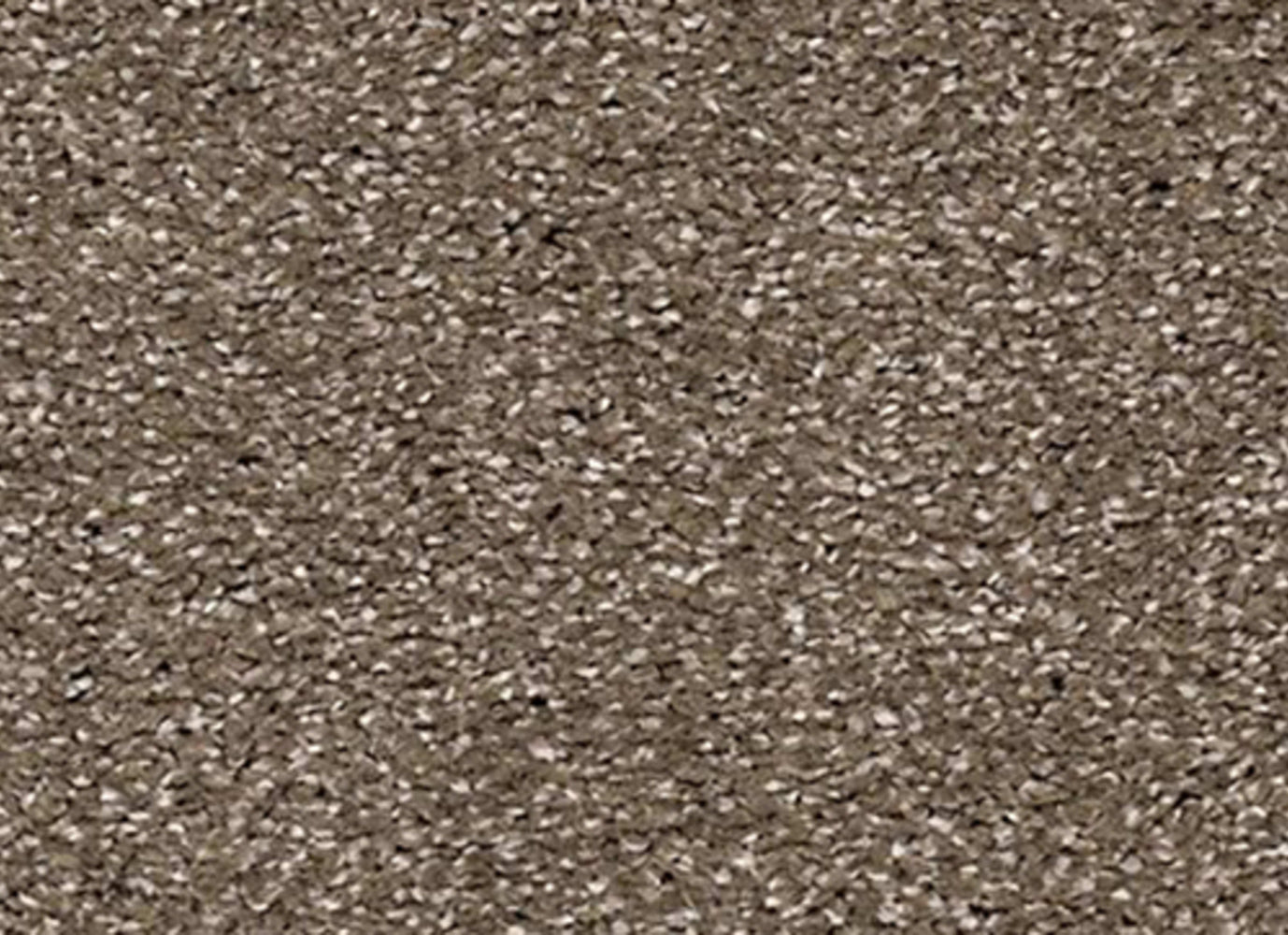 Timeless Statement in Swiss Sugar Carpet