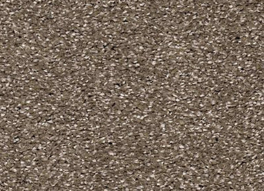 Timeless Statement in Swiss Sugar Carpet