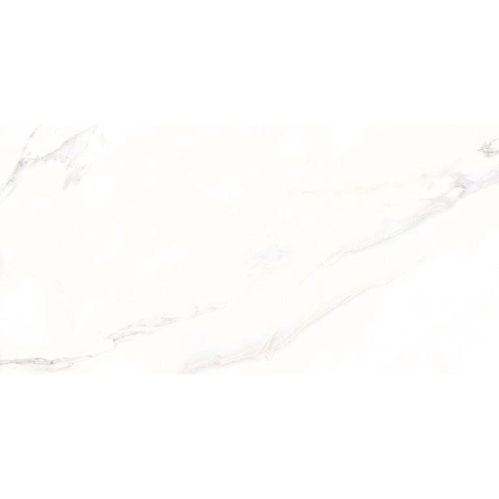 Calacatta in White 24x48 Tile