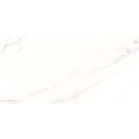 Calacatta in White 24x48