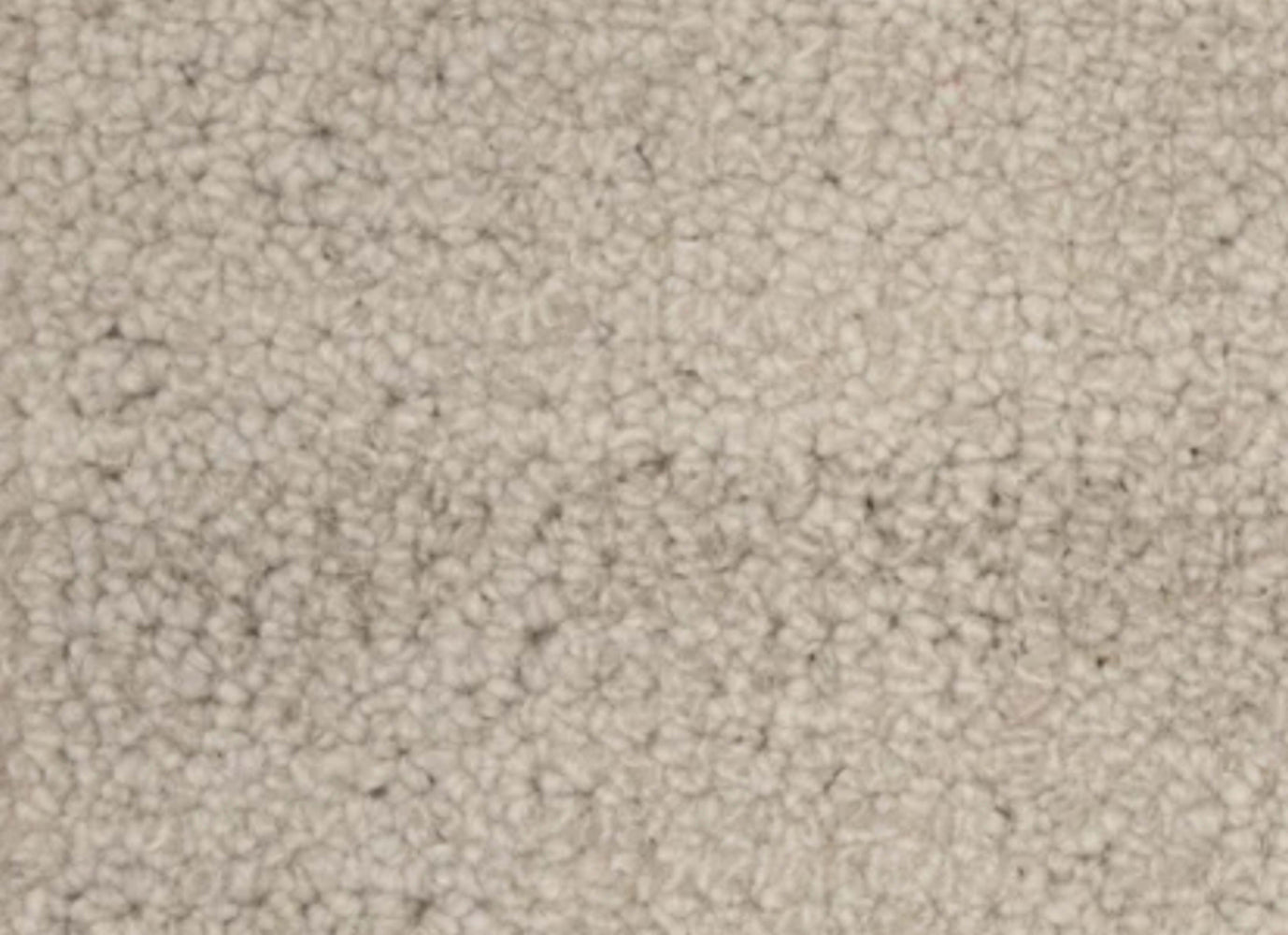 Terrain in Oatmeal Carpet