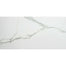 Florencia in Calacatta 12x24 Tile