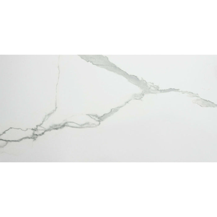 Florencia in Calacatta 12x24 Tile