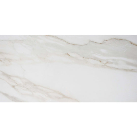 Florencia in Calacatta Gold 12x24