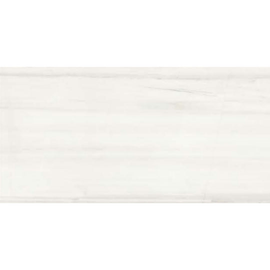 Florencia Silk in Dolomite 12x24