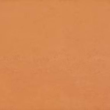 Theoretical Bold in Authentic Orange Tile