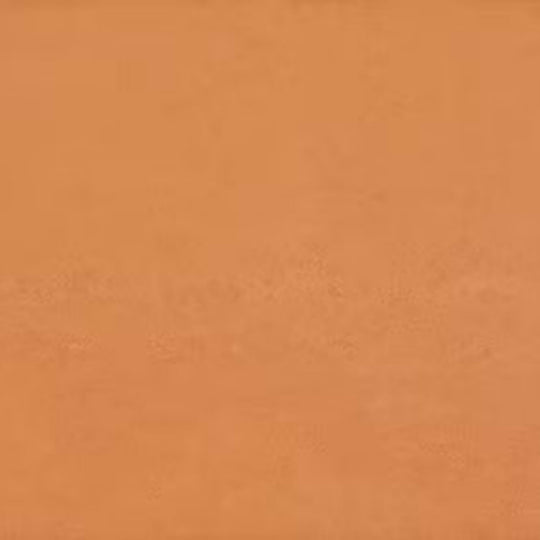 Theoretical Bold in Authentic Orange