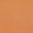 Theoretical Bold in Authentic Orange Tile