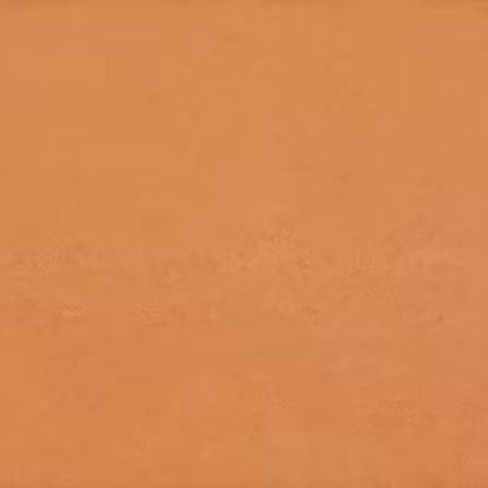 Theoretical Bold in Authentic Orange Tile