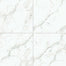 Themar in Venato Gold 24x24 Tile