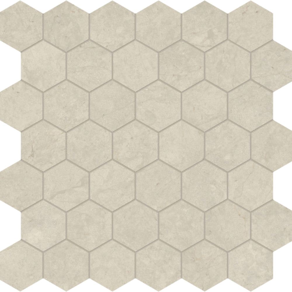 Tierra Halo in Hexagon Mosaic Honed Natural Stone