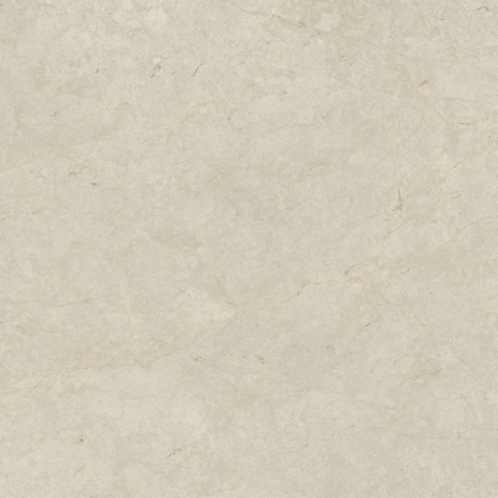 Tierra Halo in Honed 12x24 Natural Stone