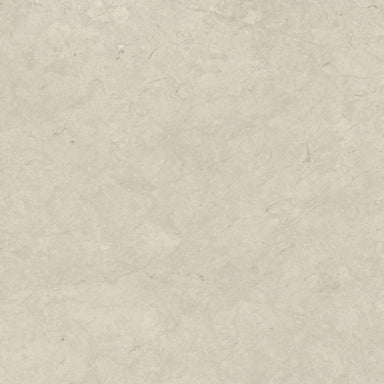 Tierra Halo in Honed 12x24 Natural Stone