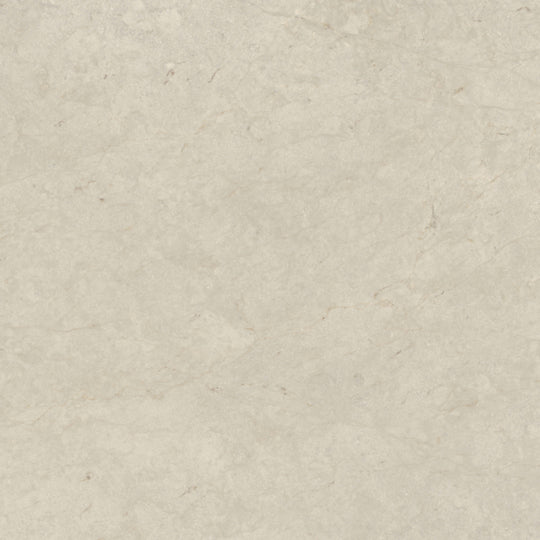 Tierra Halo in Honed 12x24