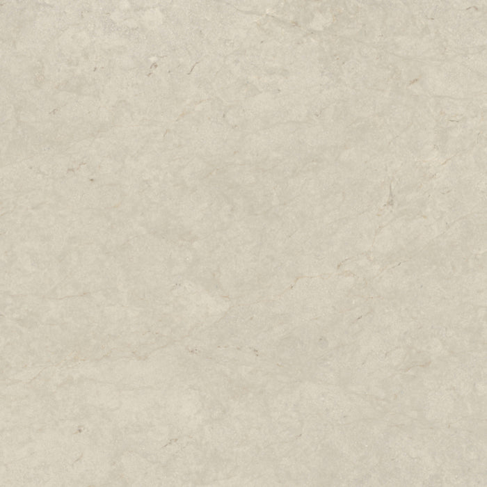 Tierra Halo in Honed 12x24 Natural Stone