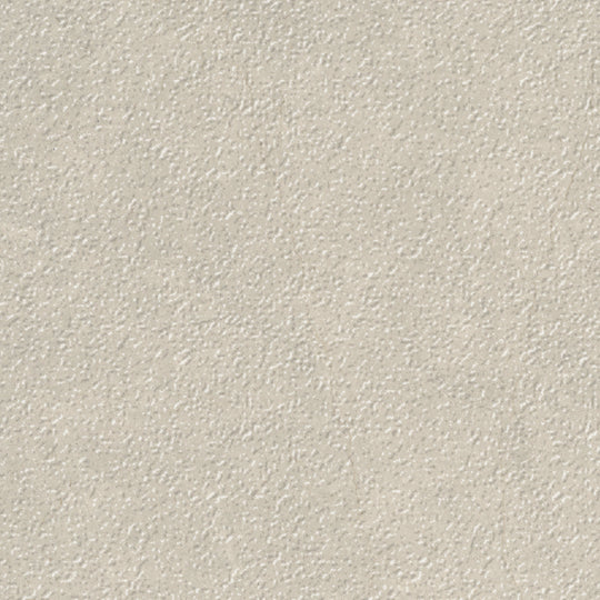Tierra Halo in Vintage Texture 12x24