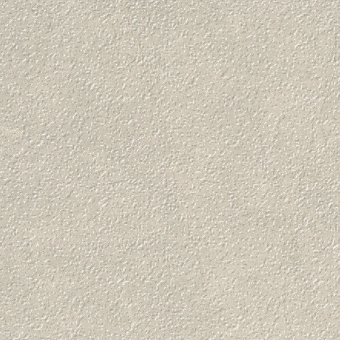 Tierra Halo in Vintage Texture 12x24 Natural Stone
