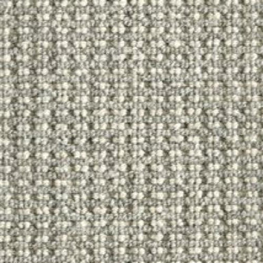 Timbers in Silver Carpet