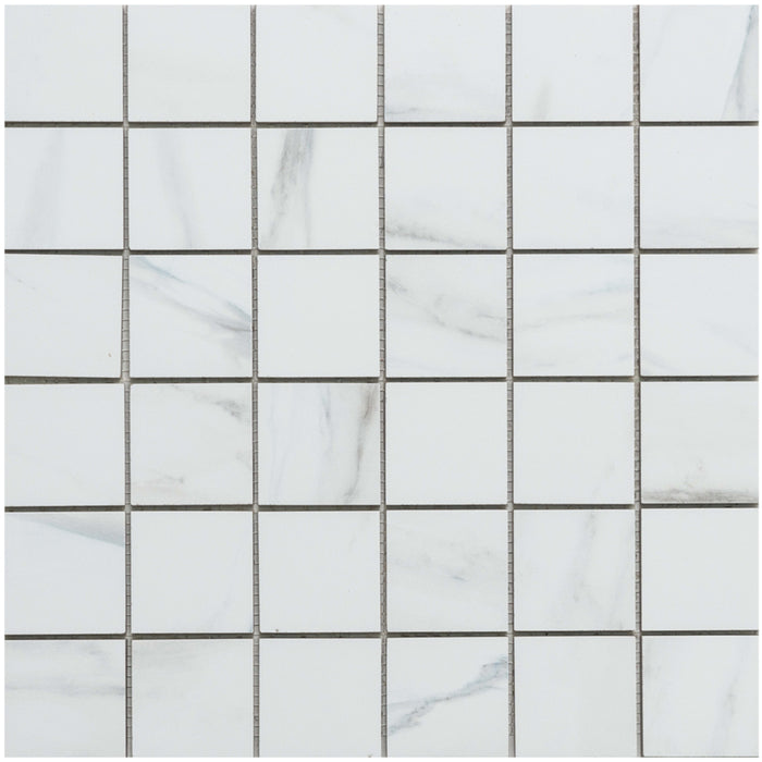 Michelangelo in Grey 2x2 Tile