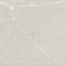 Torino in Avorio - 12x24 Tile