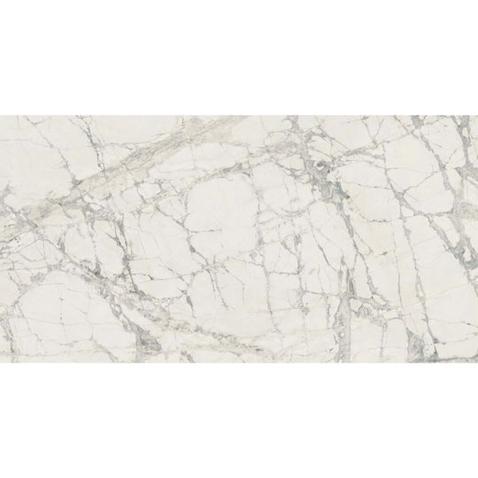 Prexious Silk in Mountain Treasure 12x24