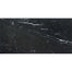 Prexious Silk in Nero Marquinia 12x24 Tile
