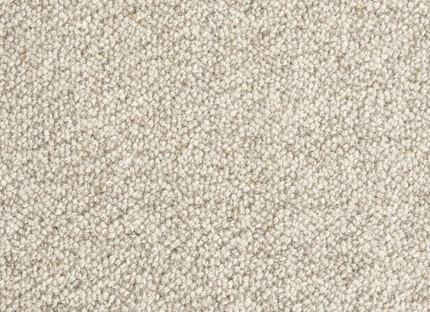 Trailblazer in Carbon Carpet