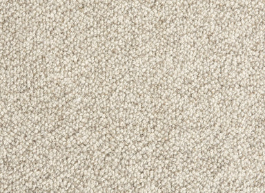 Trailblazer in Carbon Carpet