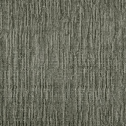 Tranquil in Coal Carpet