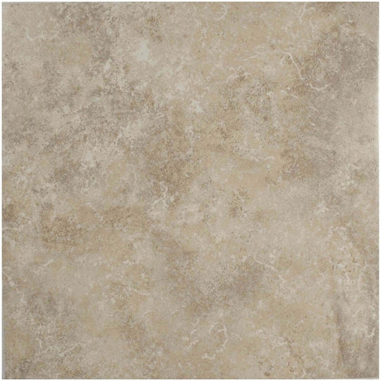 Texas in Beige